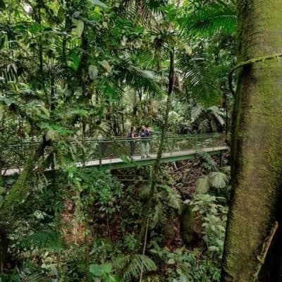 The Best of Arenal — Full Day Combo - 7