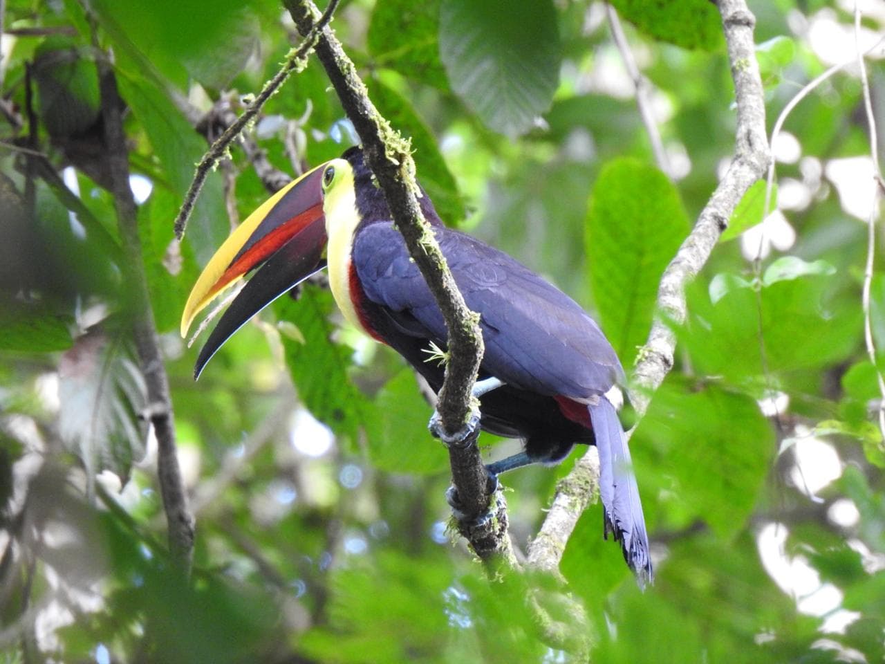 Birdwatching Tour - 4