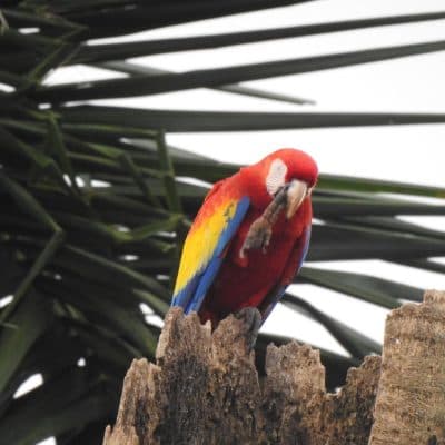 Birdwatching Tour - 7